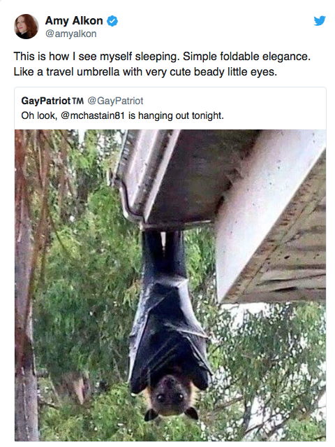 Screen Shot 2019-01-25 at 9.15.41 PM.png